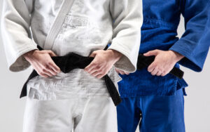 Read more about the article Aikido